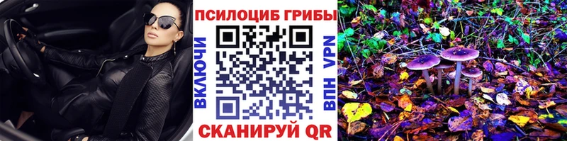 Псилоцибиновые грибы Psilocybe Моршанск