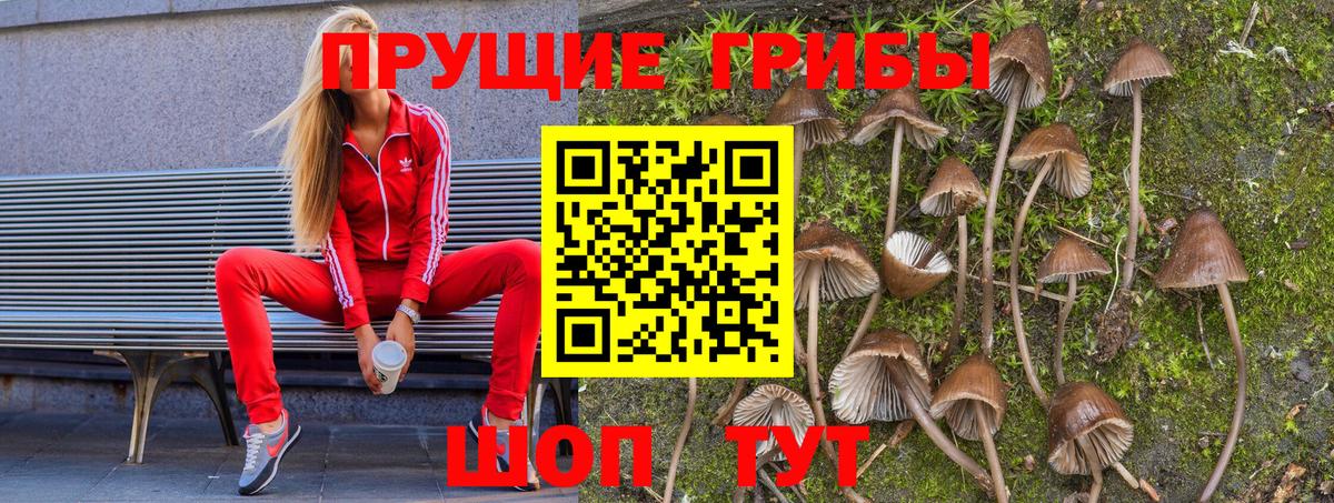 Псилоцибиновые грибы мухоморы  Моршанск 