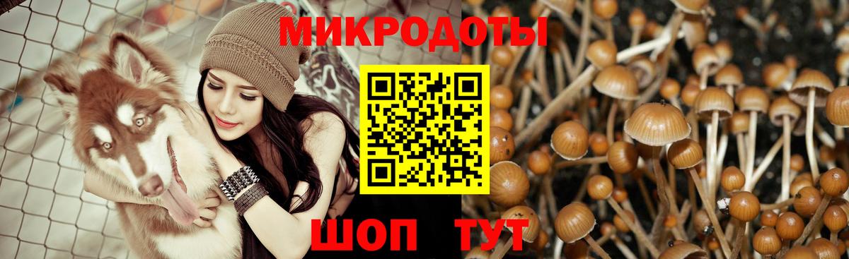 Псилоцибиновые грибы Psilocybine cubensis  Вход с VPN  Моршанск 